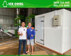 Đá viên tinh khiết ICE COOL