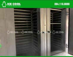 Máy cấp đông nhanh ICE COOL