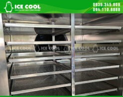 Máy cấp đông nhanh ICE COOL bảo quản hiệu quả