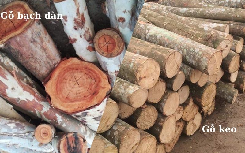 Gỗ keo, cao su có độ cứng gây hao mòn máy băm